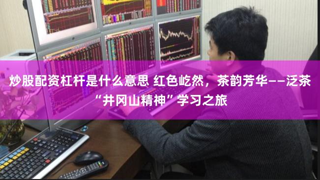炒股配资杠杆是什么意思 红色屹然，茶韵芳华——泛茶“井冈山精神”学习之旅